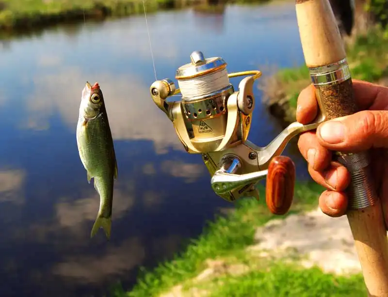 ماهیگیری ورزشی برای روح و جسم