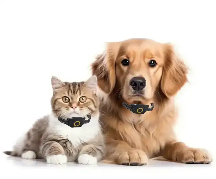 قابلیتها و عملکرد ردیاب حیوانات