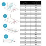 اسکیت آموزشی نیمه حرفه ای فلایینگ ایگل مدل FBS+ - Image 3