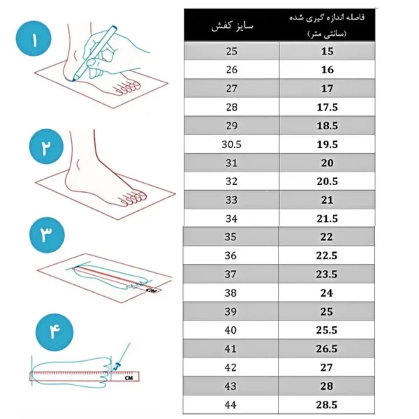 اسکیت آموزشی نیمه حرفه ای فلایینگ ایگل مدل FBS+ - Image 3