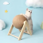 اسکرچر گربه مدل C21
