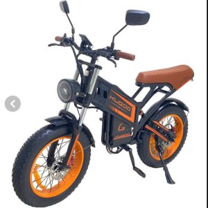 دوچرخه برقی کوگو V۵ ۷۵۰ وات اصلی